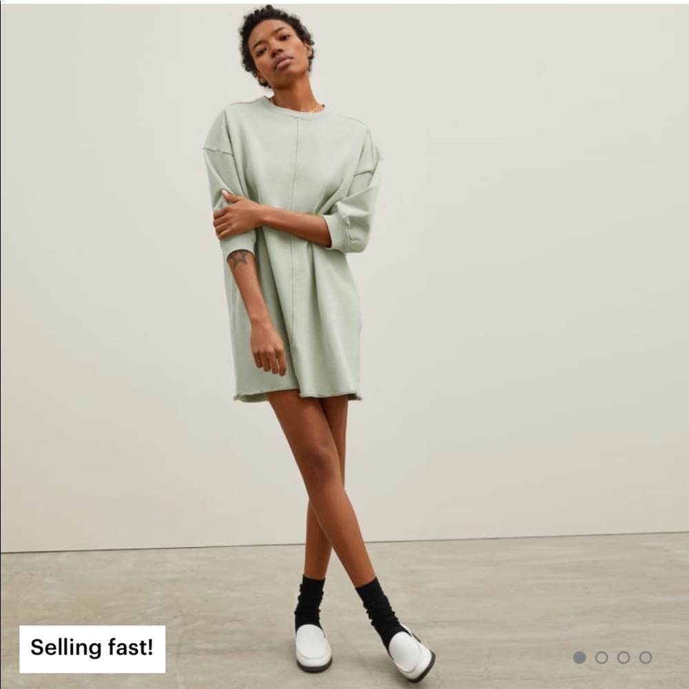 Everlane Track Dress—Laurel